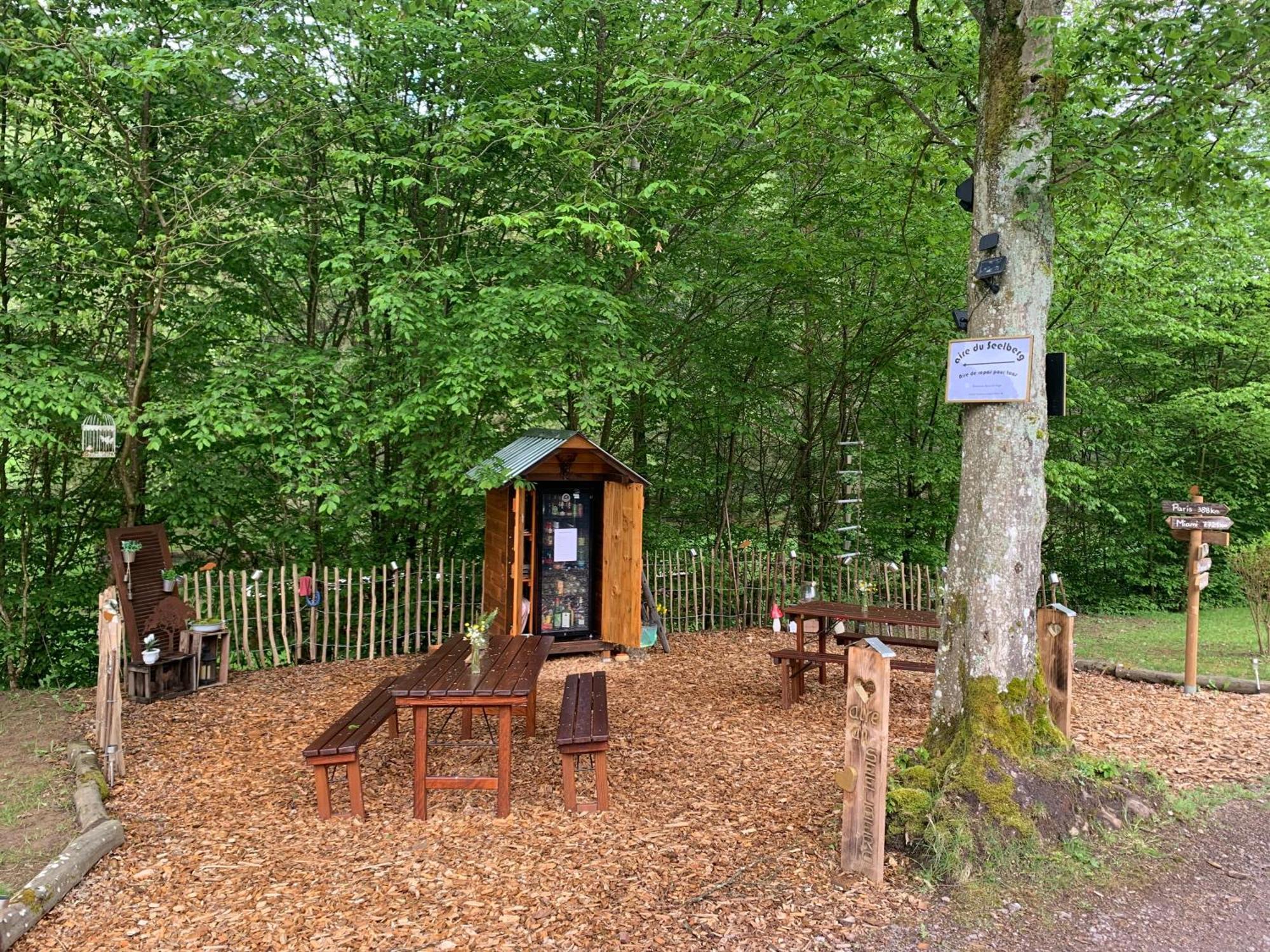 Le Wineck Villa Dambach Екстериор снимка