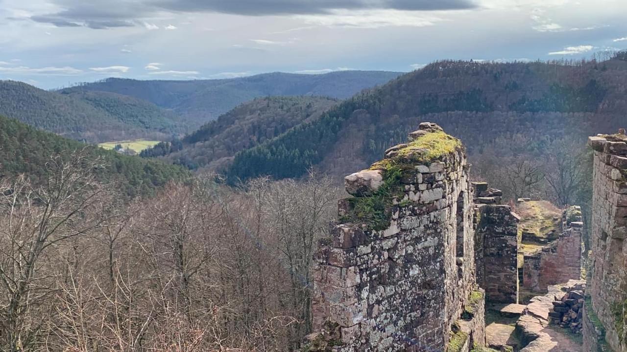 Le Wineck Villa Dambach Екстериор снимка