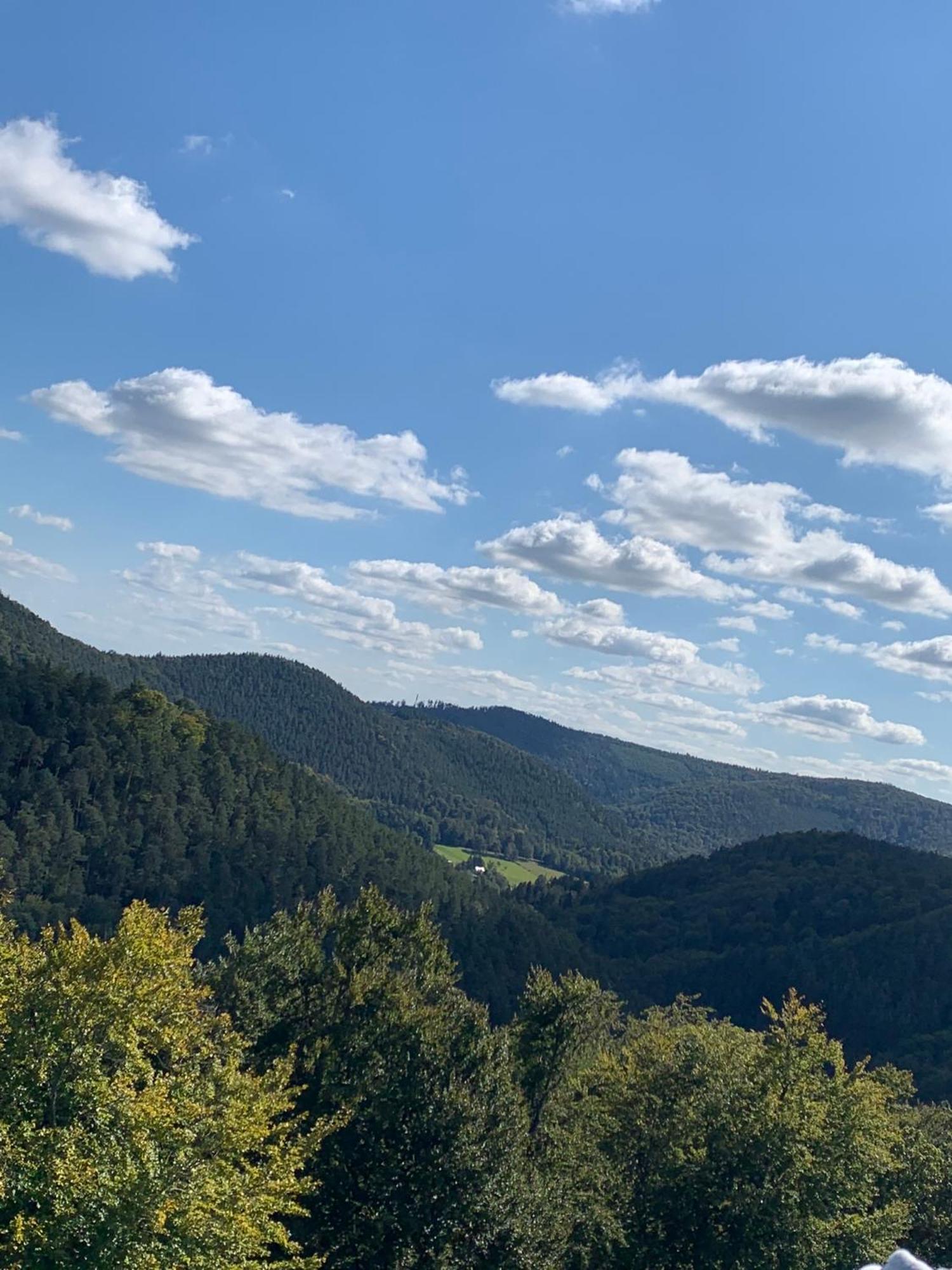 Le Wineck Villa Dambach Екстериор снимка