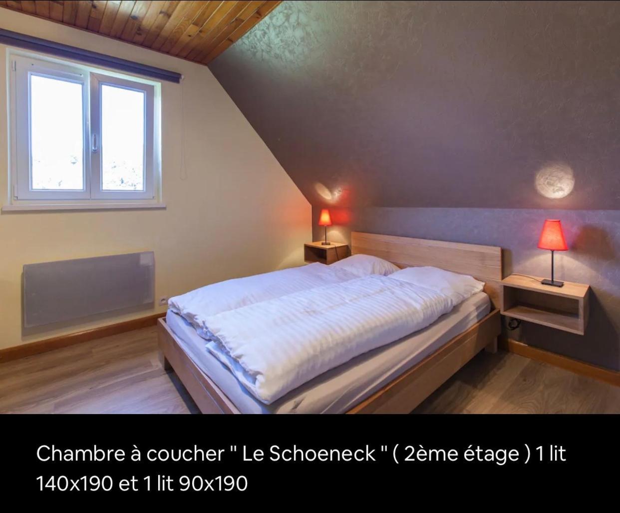 Le Wineck Villa Dambach Екстериор снимка