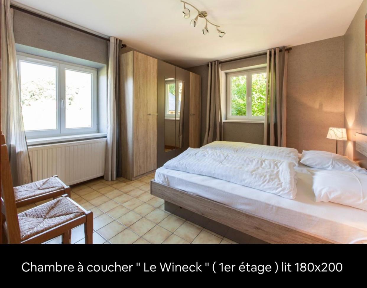 Le Wineck Villa Dambach Екстериор снимка