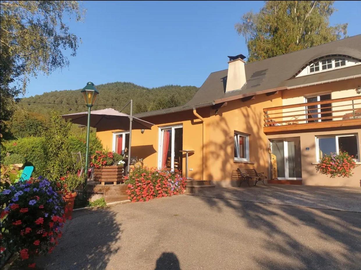 Le Wineck Villa Dambach Екстериор снимка