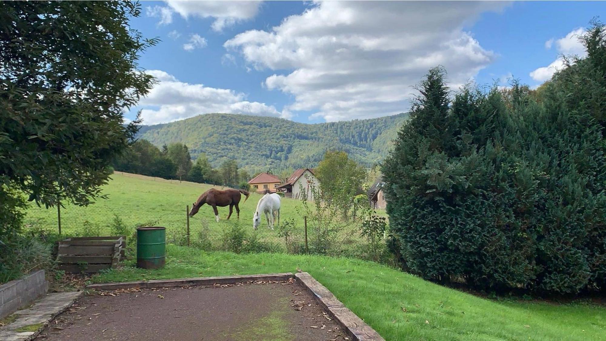 Le Wineck Villa Dambach Екстериор снимка