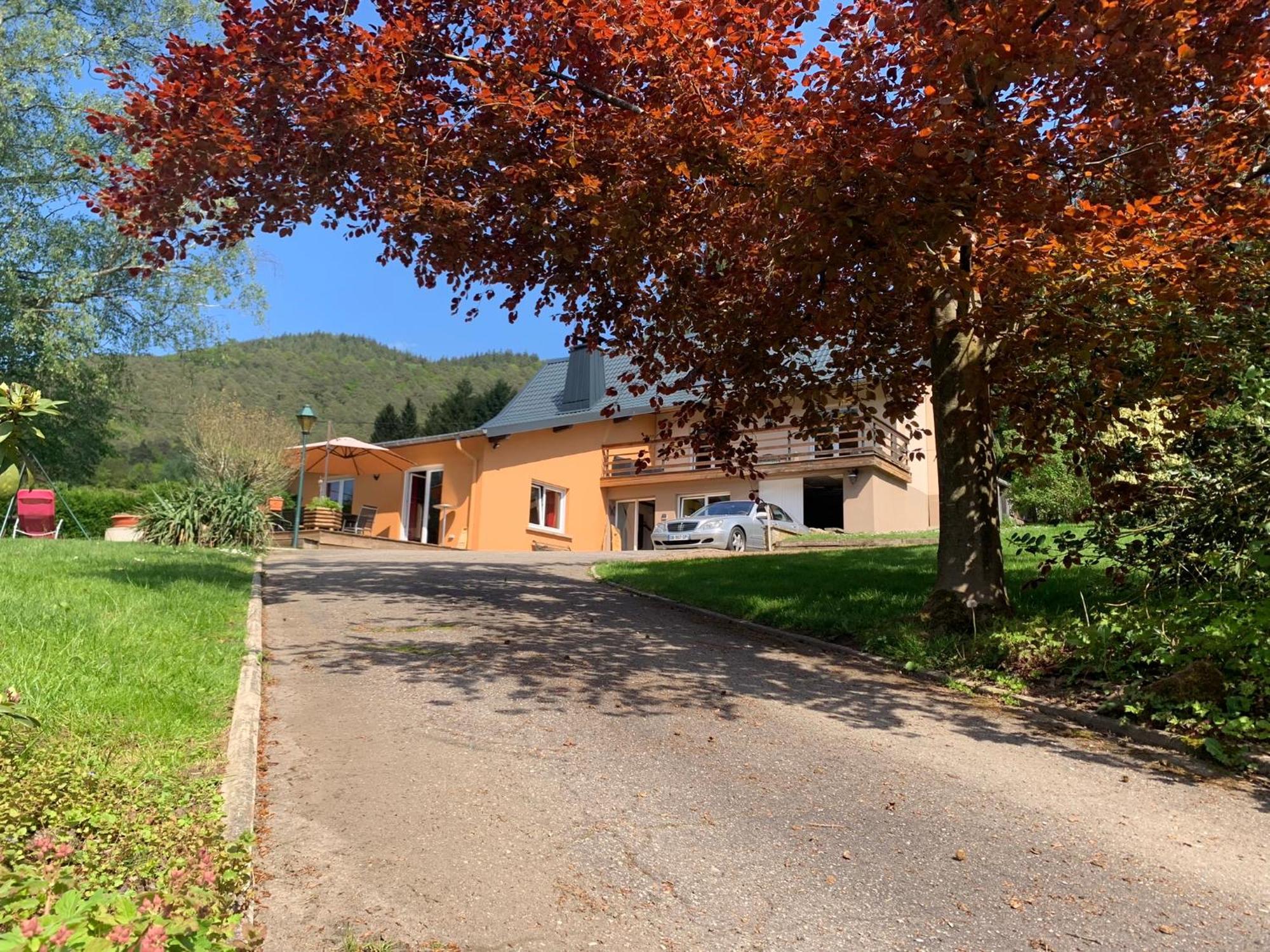 Le Wineck Villa Dambach Екстериор снимка