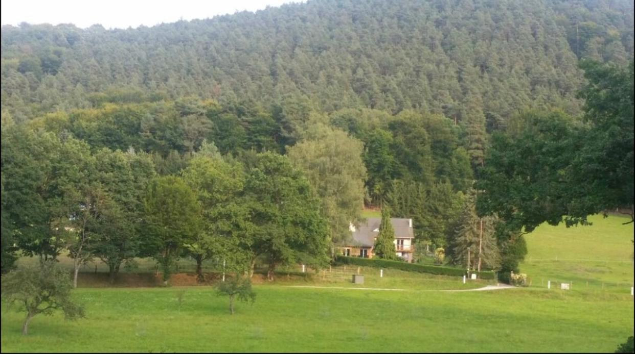 Le Wineck Villa Dambach Екстериор снимка