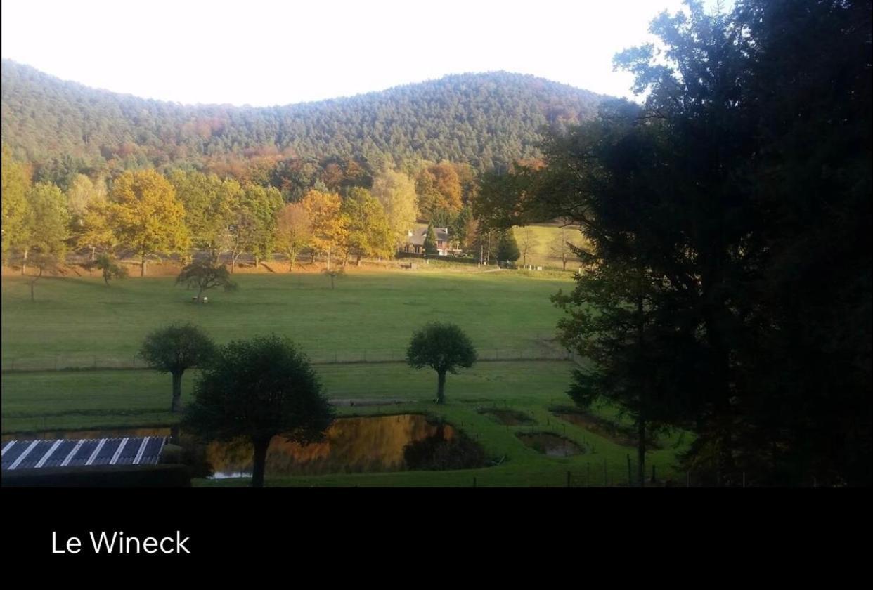 Le Wineck Villa Dambach Екстериор снимка