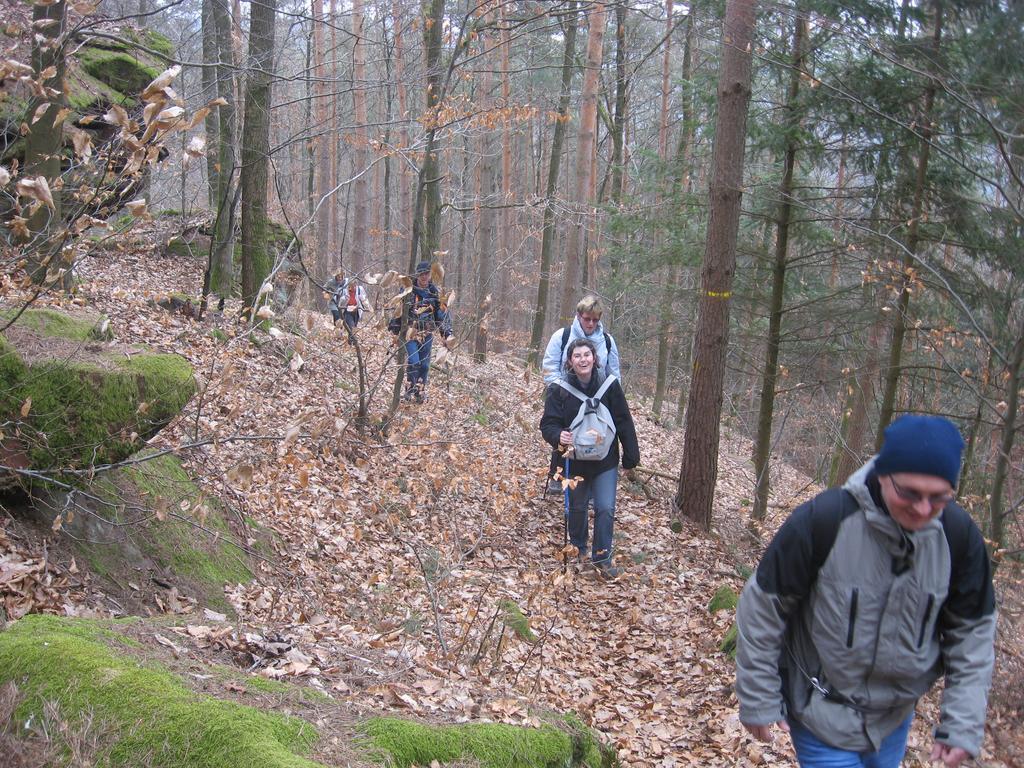 Le Wineck Villa Dambach Екстериор снимка