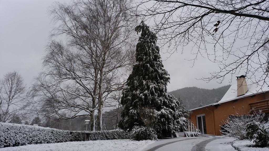 Le Wineck Villa Dambach Екстериор снимка