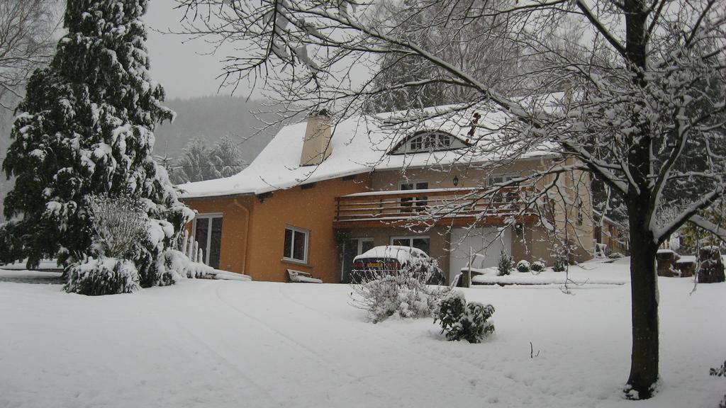 Le Wineck Villa Dambach Екстериор снимка