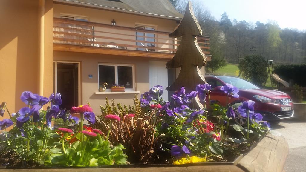 Le Wineck Villa Dambach Екстериор снимка
