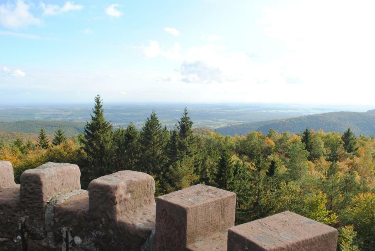 Le Wineck Villa Dambach Екстериор снимка